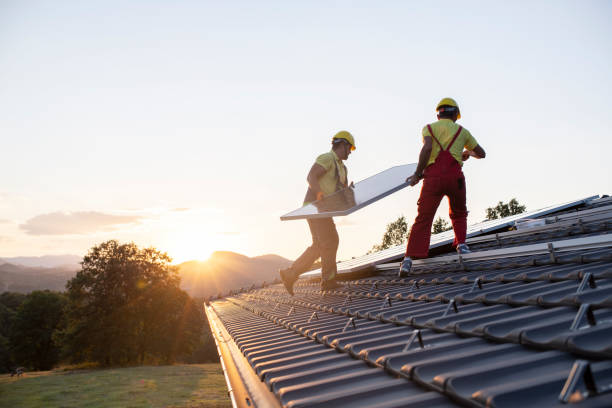 Best Roof Moss and Algae Removal  in Lavon, TX