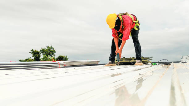 Best Chimney Flashing Repair  in Lavon, TX