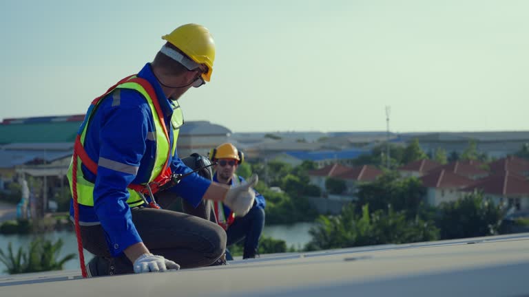 Best Roof Maintenance and Cleaning  in Lavon, TX