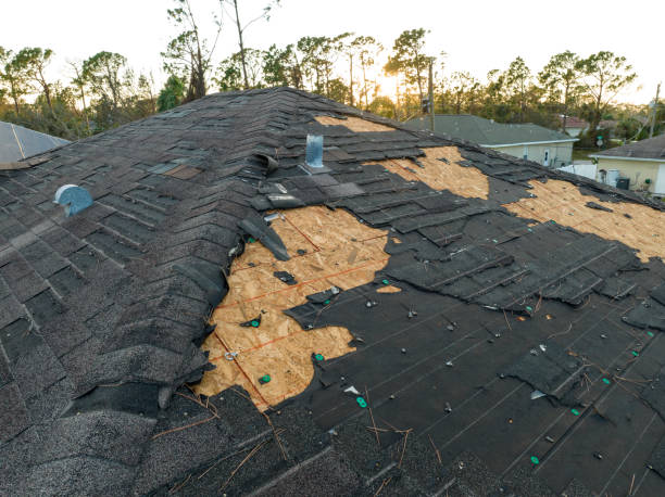 Best Solar Panel Roofing Installation  in Lavon, TX